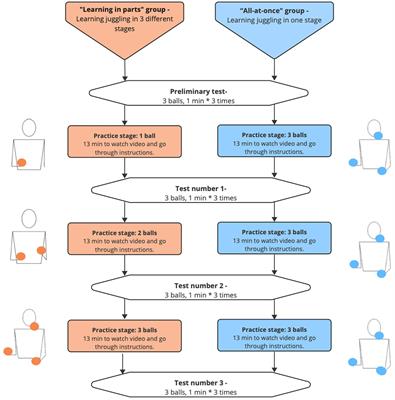 Learning juggling by gradually increasing difficulty vs. learning the complete skill results in different learning patterns